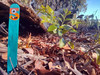 Kits4Kiddies gets your kiddie into the great outdoors with Number Hunt